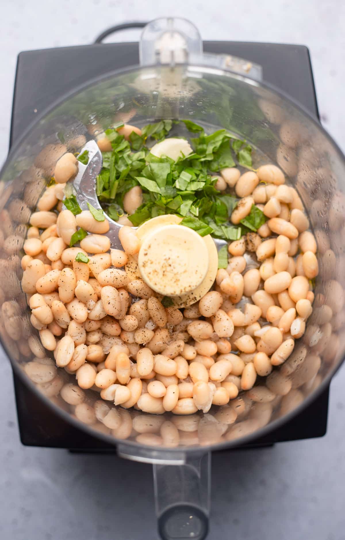 Ingredients for the immersion of the white bean in a food processor.